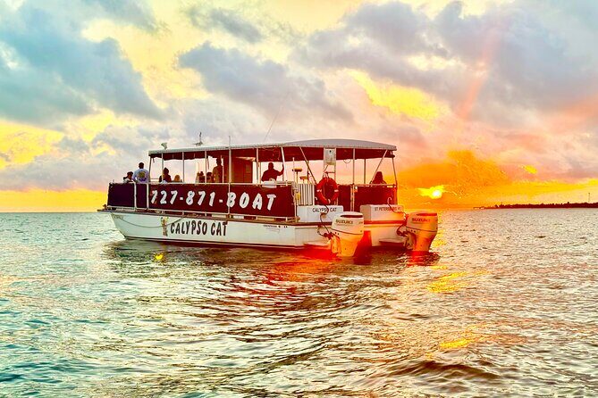Fabulous Florida Sunset Tour Including Dolphins - Key Points