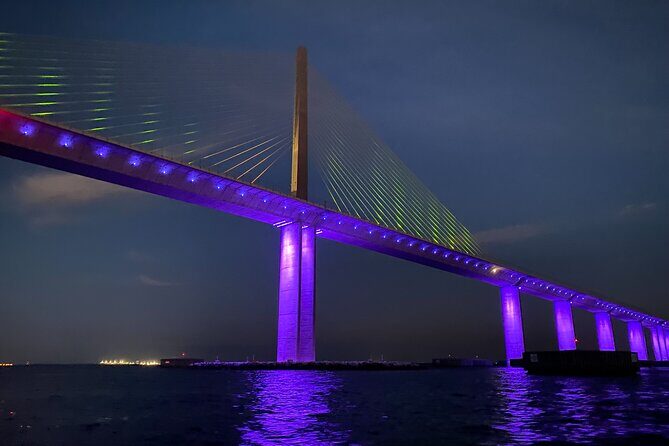 Fabulous Florida Sunset Tour Including Dolphins - To sum it up, this cruise is perfect for those seeking a relaxed, scenic, and wildlife-rich experience. It’s a genuine taste of Florida’s natural beauty, wrapped in a comfortable and affordable package.