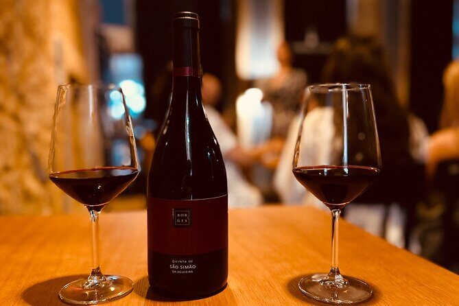 Fado Concert with Welcome Drink - Setting the Scene at Clube Real do Fado