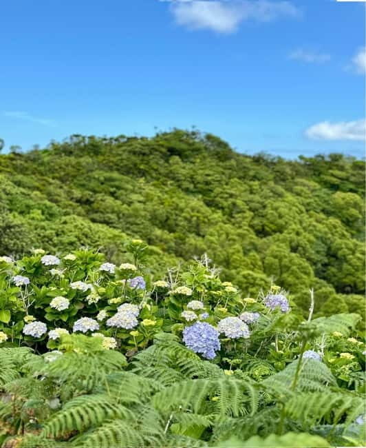 Faial Island: Caldeira Perimeter Hiking Tour - Key Points