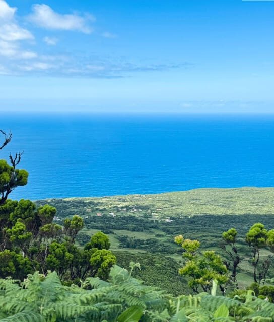 Faial Island: Caldeira Perimeter Hiking Tour - Final Thoughts: Who Should Consider This Tour
