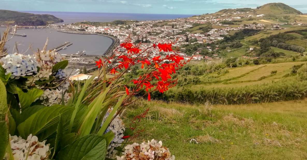Faial Island: Half Day Tour - the Main Attractions - Island History and Culture