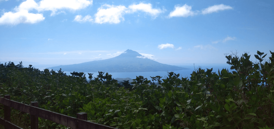 Faial Island: Personalized tour with Pic Nic - Discovering Faial Island: What to Expect