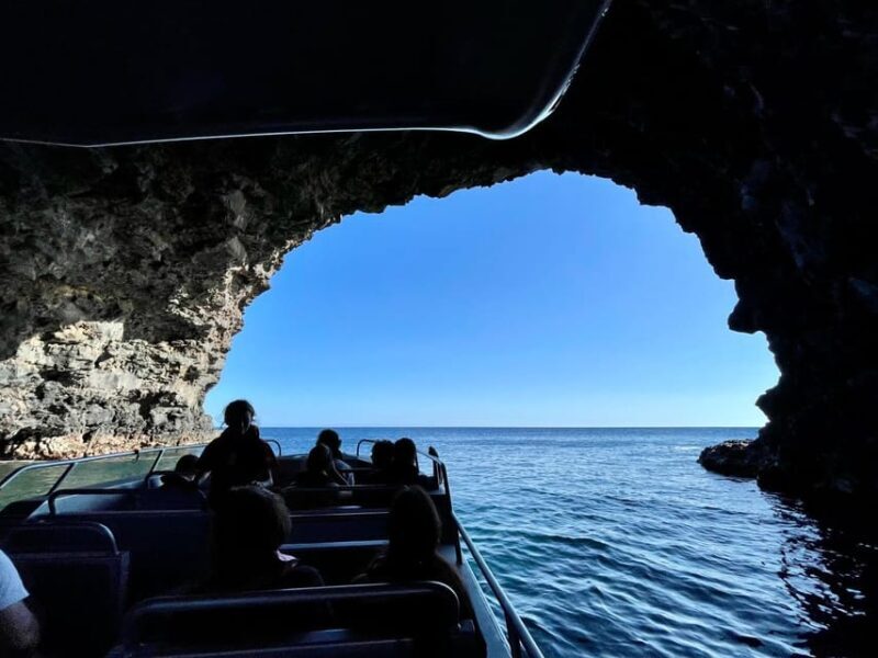 Faial Island: Unique boat tour to the Capelinhos volcano - Key Points