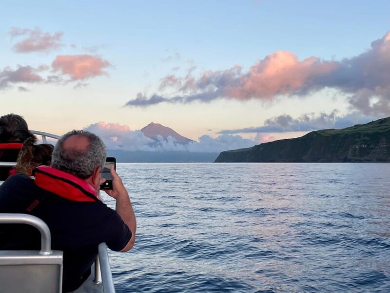 Faial Island: Unique boat tour to the Capelinhos volcano - Why This Tour Stands Out