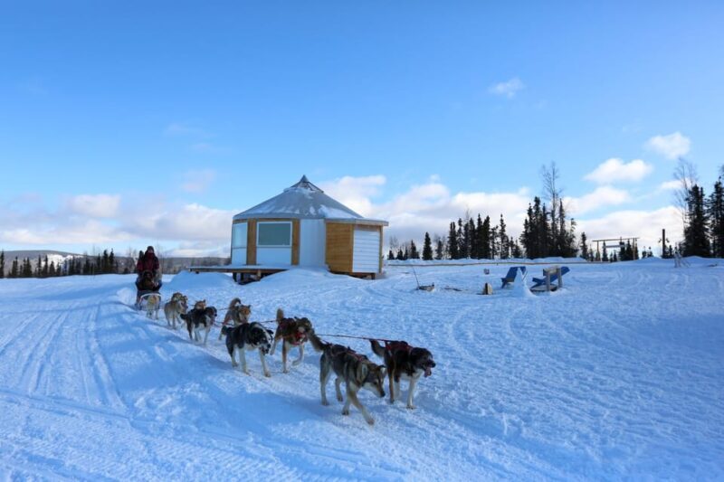 Fairbanks: 1-Hour Alaskan Winter Dog Sledding Adventure - FAQ