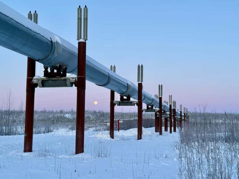 Fairbanks: Arctic Circle Tour with Northern Lights Hunt - Key Points