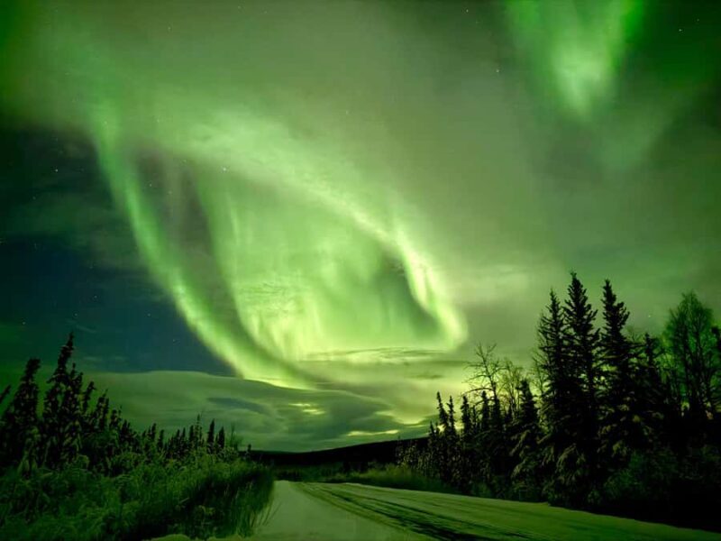 Fairbanks: Arctic Circle Tour with Northern Lights Hunt - Exploring the Arctic Circle Tour in Detail