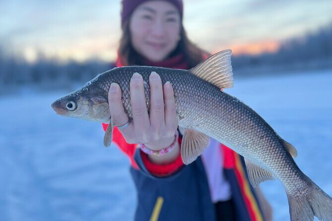 Fairbanks Aurora Viewing and Ice Fishing Tour - Fairbanks Aurora Viewing and Ice Fishing Tour: A Practical Look at a Unique Arctic Experience