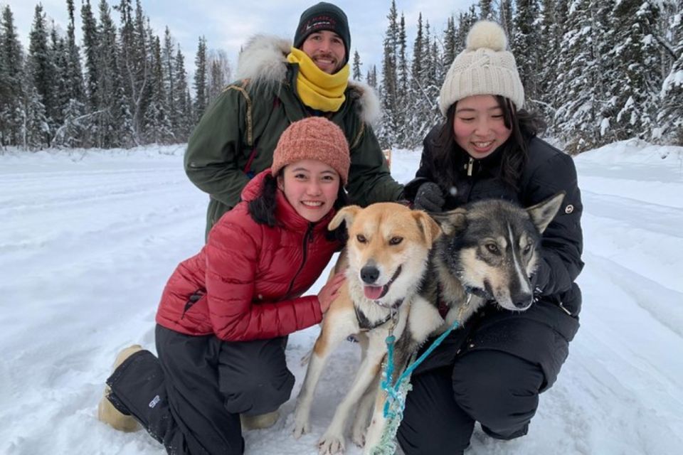 Fairbanks: Dog Sledding and Mushing Experience - Key Points