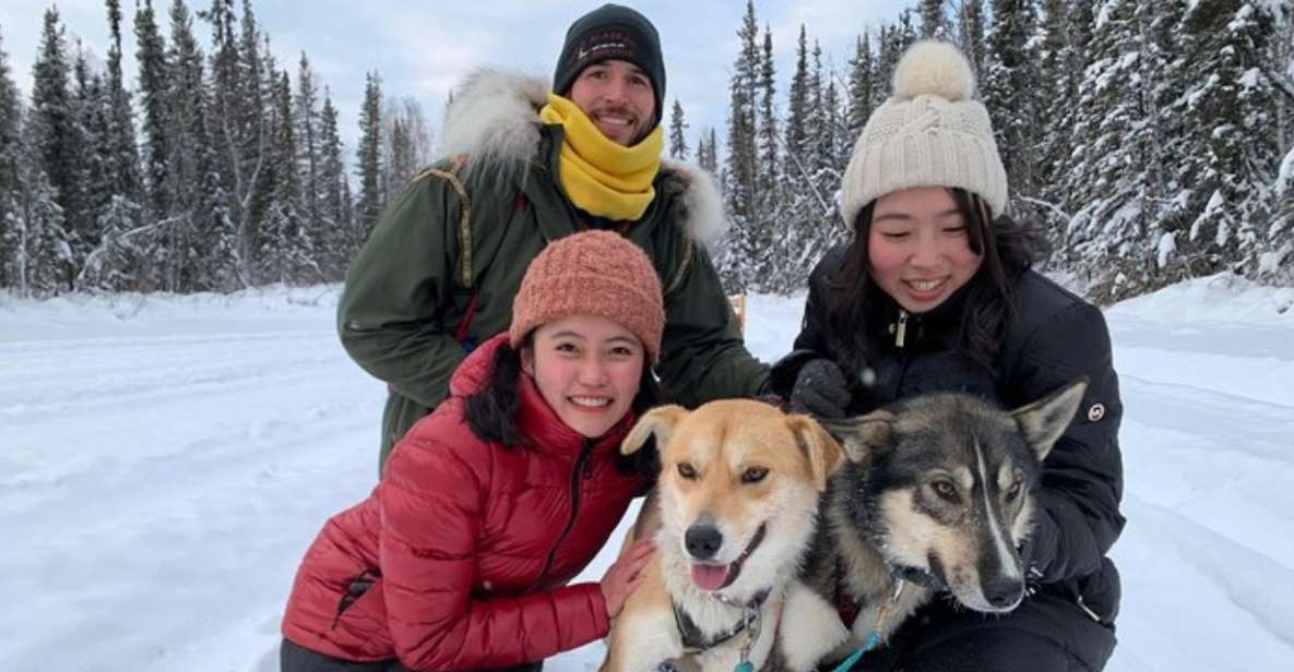 Fairbanks: Dog Sledding and Mushing Experience - Highlights of the Activity