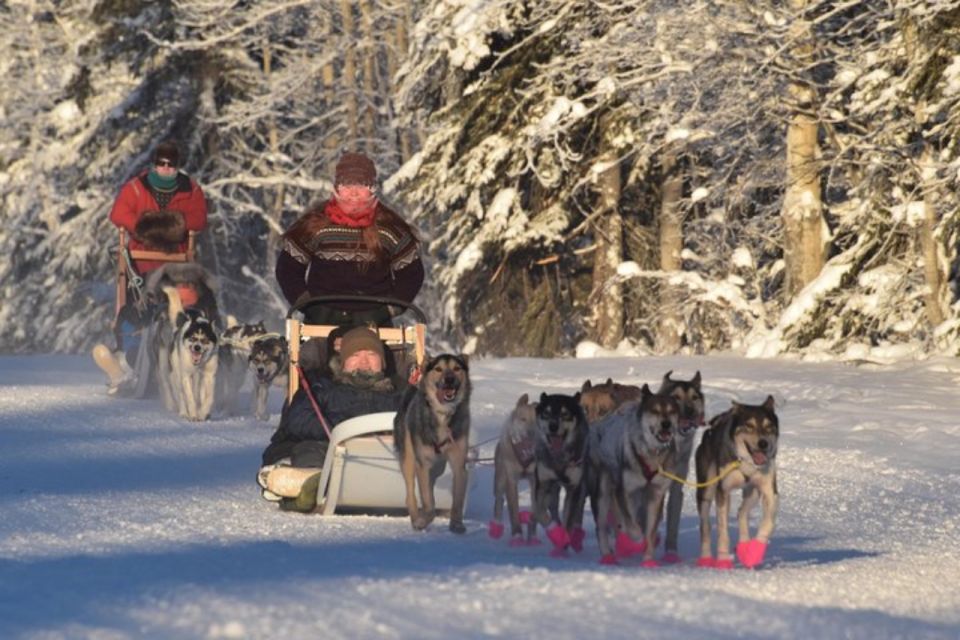 Fairbanks: Dog Sledding and Mushing Experience - Inclusions in the Package