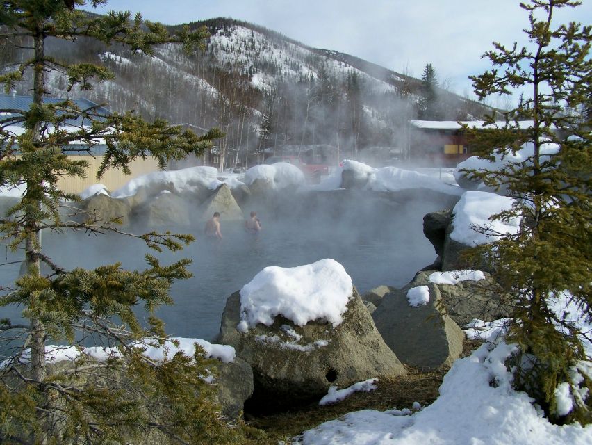 Fairbanks: Northern Lights and Chena Hot Springs Tour - Pricing and Duration