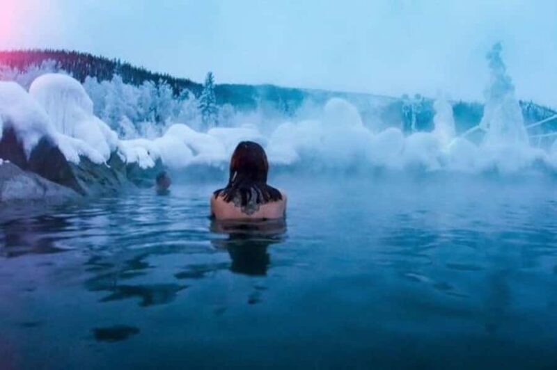 Fairbanks: Northern Lights & Chena Hot Springs Tour - The Itinerary in Detail