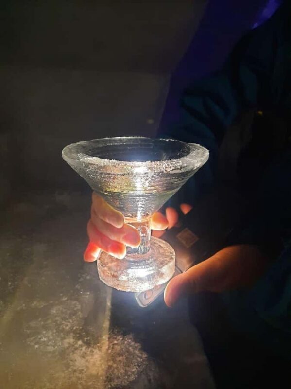 Fairbanks: Northern Lights & Chena Hot Springs Tour - Final Thoughts