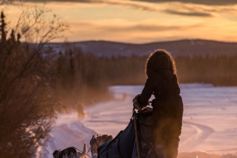 Fairbanks: Private Mush on the Historic Yukon Quest Trail - Key Points
