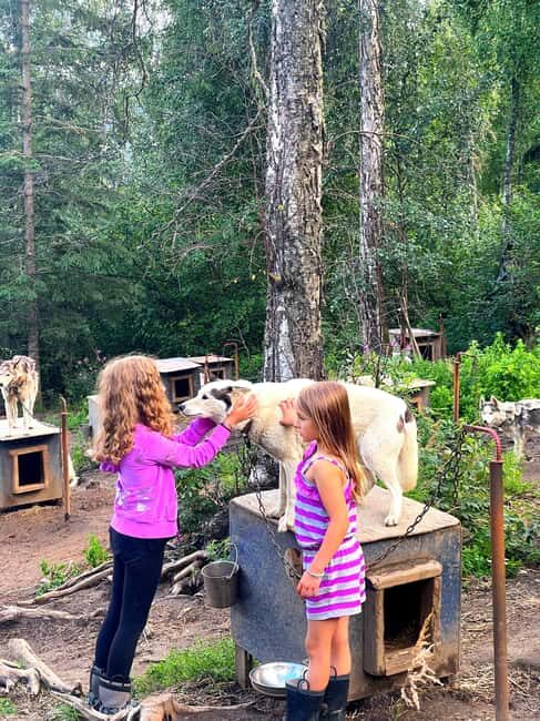 Fairbanks: Siberian Husky Kennel Tour - The Itinerary in Detail
