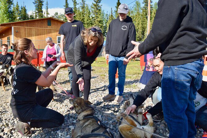 Fairbanks Sled Dog Adventure with Campfire & S'mores - Key Points