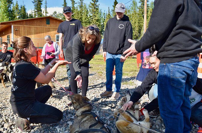 Fairbanks Sled Dog Adventure with Campfire & S'mores - Frequently Asked Questions (FAQs)
