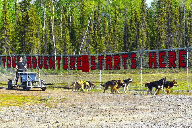 Fairbanks Sled Dog Adventure with Campfire & S'mores - Final Thoughts