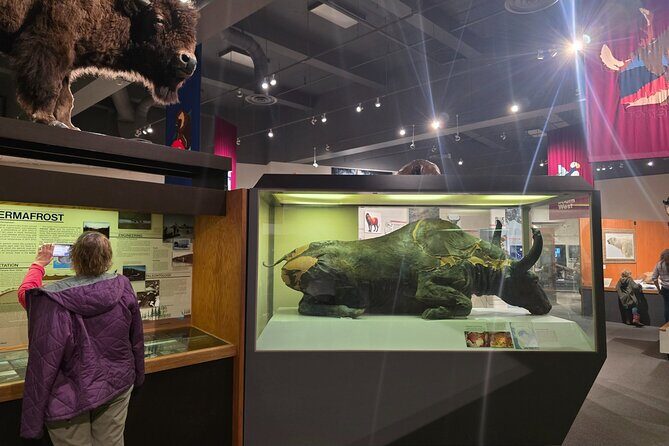 Fairbanks Top City Highlights Tour Summer/Fall - University of Alaska Museum of the North – A Natural and Cultural Treasure