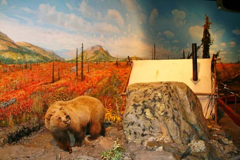 Fairbanks: Winter City Tour - Key Points