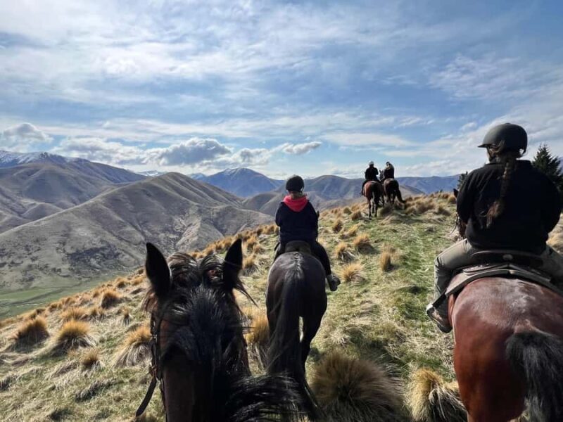 Fairlie, NZ: 5-Day Horse Adventure with Endless Mountains - The Sum Up
