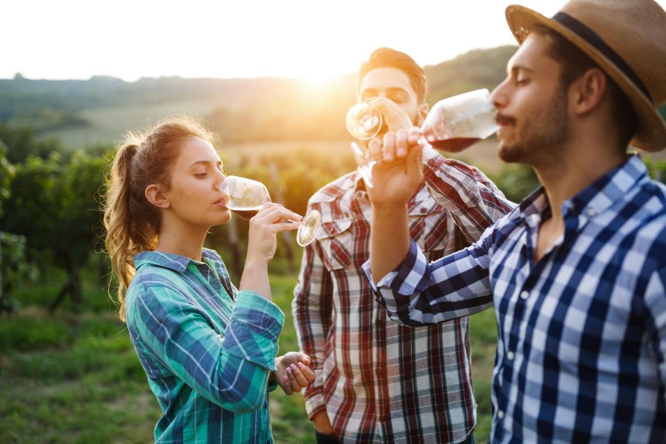 Fairplay and Pleasant Valley Digital Wine Tasting Passport - Key Information for Visitors