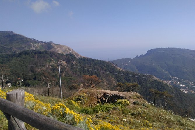Faito Trek Tour, Cable Car Excursion and Scenic Trails - Frequently Asked Questions