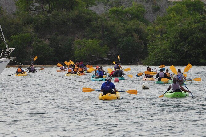 Fajardo Bioluminescent Bay Night Kayak Adventure from San Juan - FAQ