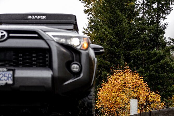 Fall Adventure Vancouver Island Grizzly Bears, High Tea and More - What’s Included and What’s Not