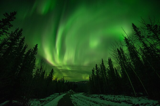 Fall Aurora Mushing Cart Ride Bucket List Adventure - Good To Know