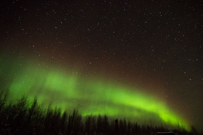 Fall Aurora Mushing Cart Ride Bucket List Adventure - Friendly Canine Companions