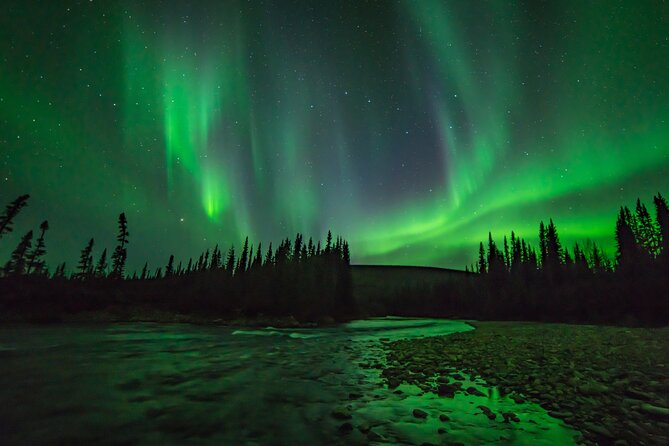 Fall Aurora Mushing Cart Ride Bucket List Adventure - Accessibility and Participation