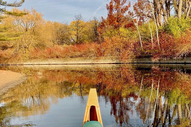 Fall Colours Canoe Tour on the Toronto Islands - A Closer Look at the Fall Colours Canoe Tour