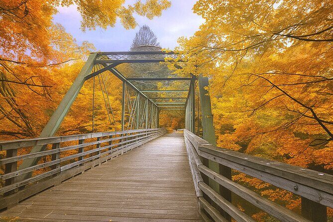 Fall Foliage Scenic Day Trip to Vermont and Western MA with Stops - The Itinerary: A Closer Look at What Makes This Trip Special