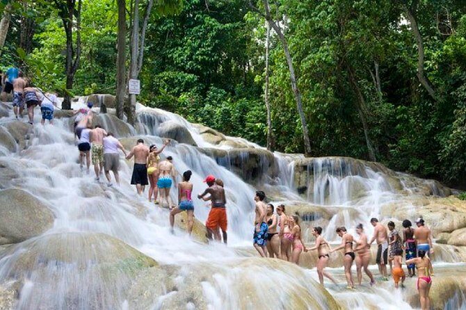 Falls Flyer Zipline and Dunn's River Falls Adventure Tour from Falmouth - What to Expect from the Itinerary