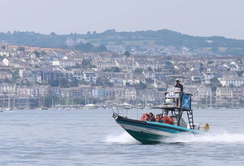 Falmouth: 2 Hour Wildlife Watching RIB Tour - The Experience from a Traveler’s Perspective