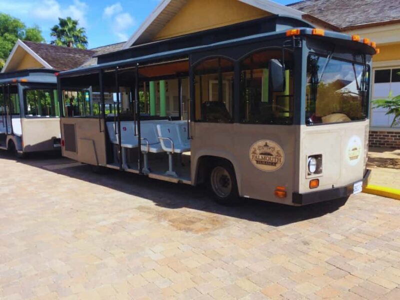 Falmouth: Customized Falmouth Day Tour and Highlights - Discovering Falmouth: An Authentic Jamaican Experience