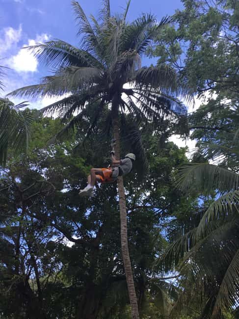 Falmouth: Dunn's River Falls, Blue Hole, and Zipline Tour - Key Points  