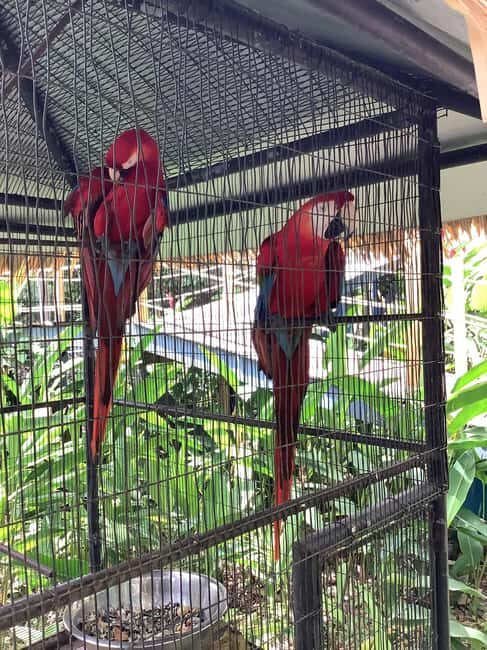 Falmouth: Konoko Falls and White River Tubing Day Tour - Key Points