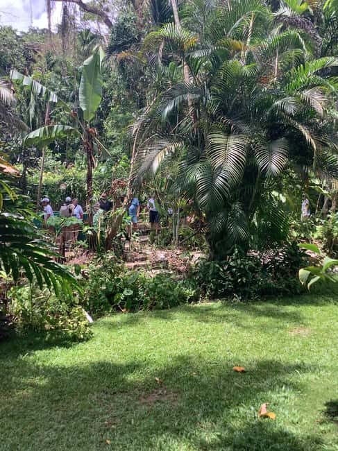 Falmouth: Konoko Falls and White River Tubing Day Tour - An Overview of the Tour