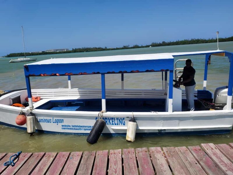 Falmouth: Luminous Lagoon Boat Tour - Practical Details and Considerations