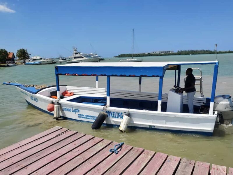 Falmouth: Luminous Lagoon Boat Tour - The Value of This Tour