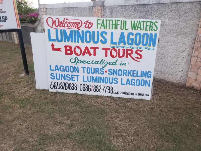 Falmouth: Luminous Lagoon Boat Tour - The Sum Up