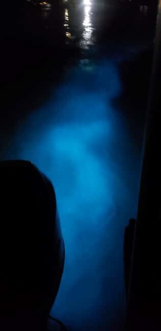 Falmouth: Luminous Lagoon Night Experience - A Practical Look at the Tour