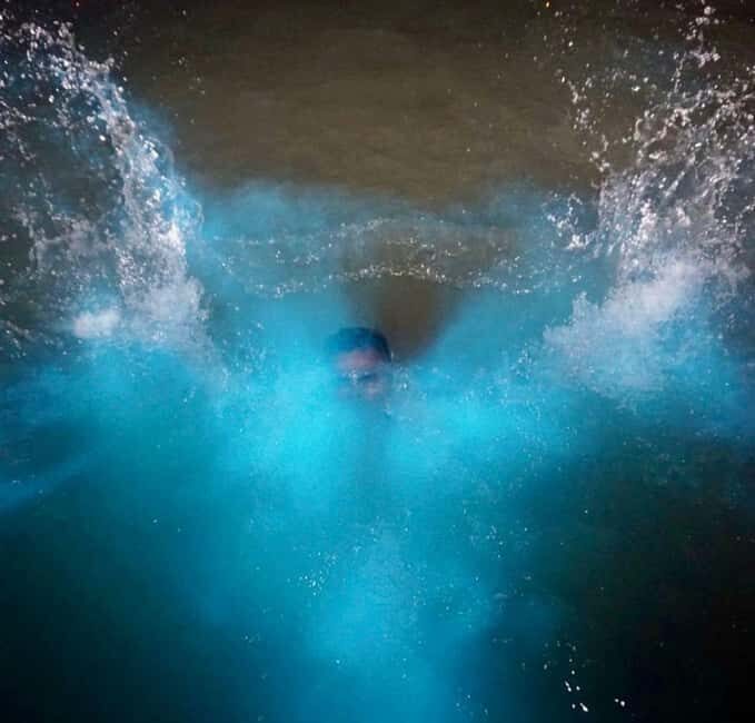 Falmouth: Luminous Lagoon Night Experience - Final Thoughts on the Luminous Lagoon Night Experience