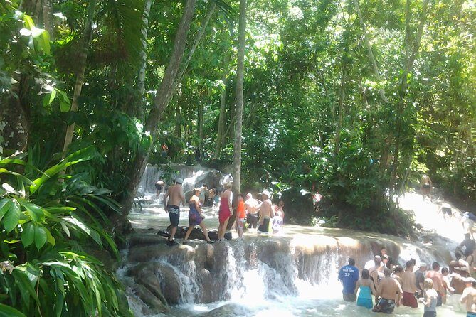 Falmouth Shore Excursion Dunn's River Falls - The Sum Up