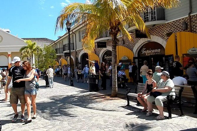 Falmouth Shore Excursion: Historic Sightseeing Tour and Doctor's Cave Beach - Who Would Enjoy This Tour?