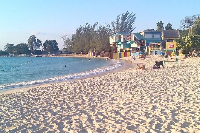 Falmouth Shore Excursion: Private Snorkel Tour - Authentic Perspectives from Past Travelers